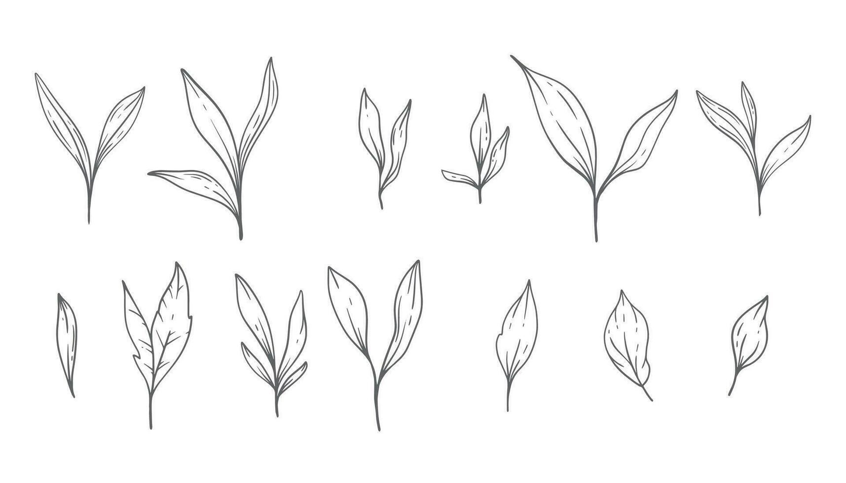 verdura linea arte, bene linea le foglie mano disegnato illustrazione. botanico colorazione pagina. schema le foglie isolato su bianca vettore