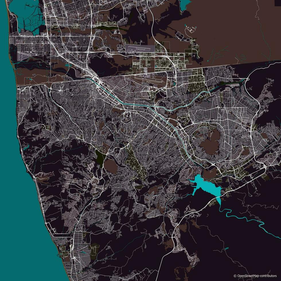 vettore città carta geografica di tijuana, baja California, Messico