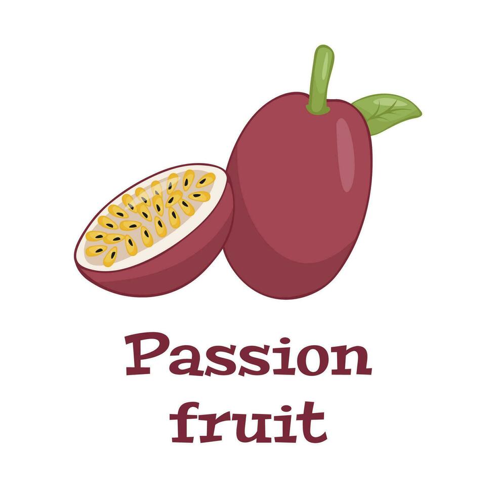 superfood frutta. passione frutta. vettore illustrazione cartone animato piatto icona isolato su bianca.