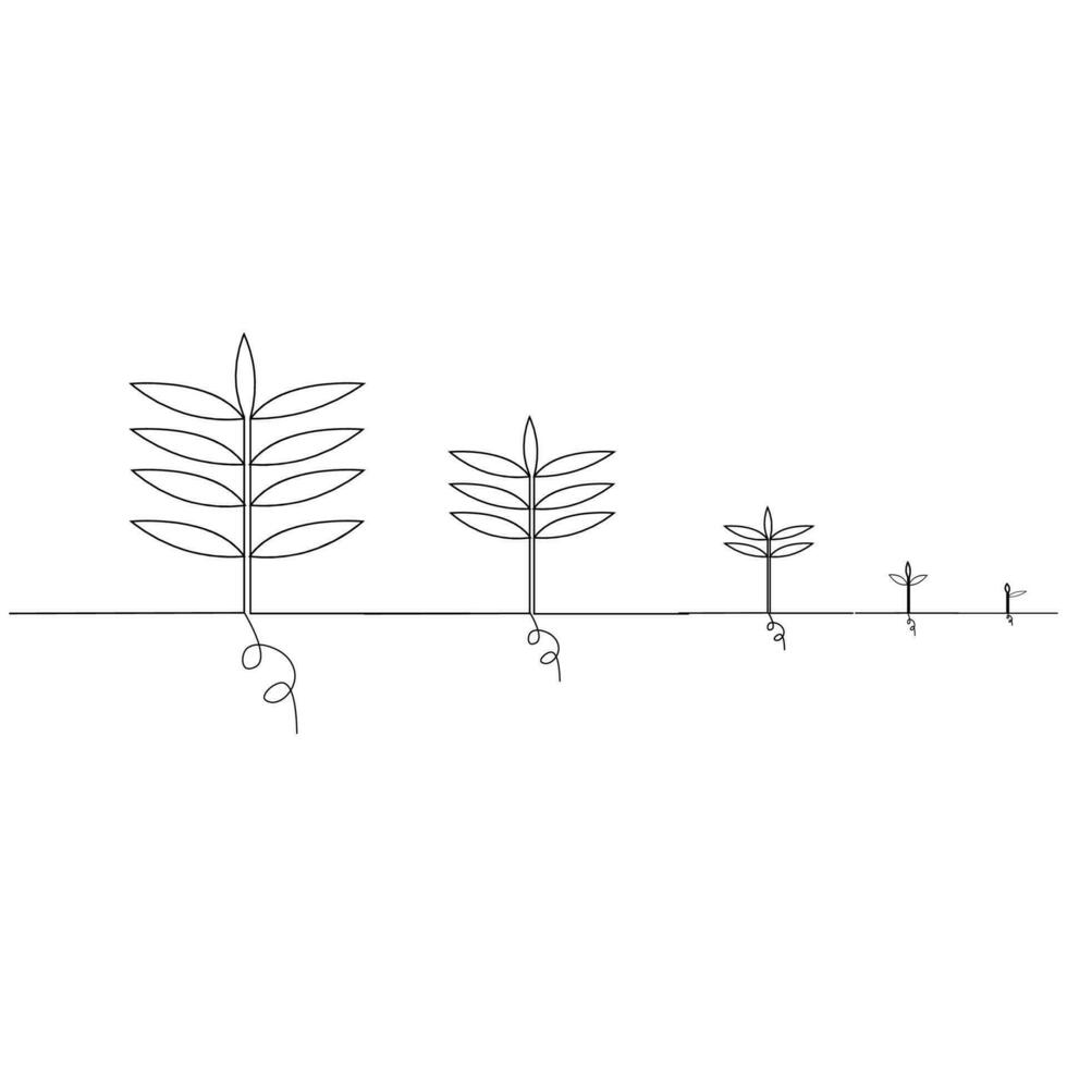 impianti linea arte stadi crescita albero isolato su bianca sfondo o pianta seme, in crescita e coltivazione utilizzando uno linea disegno stile vettore