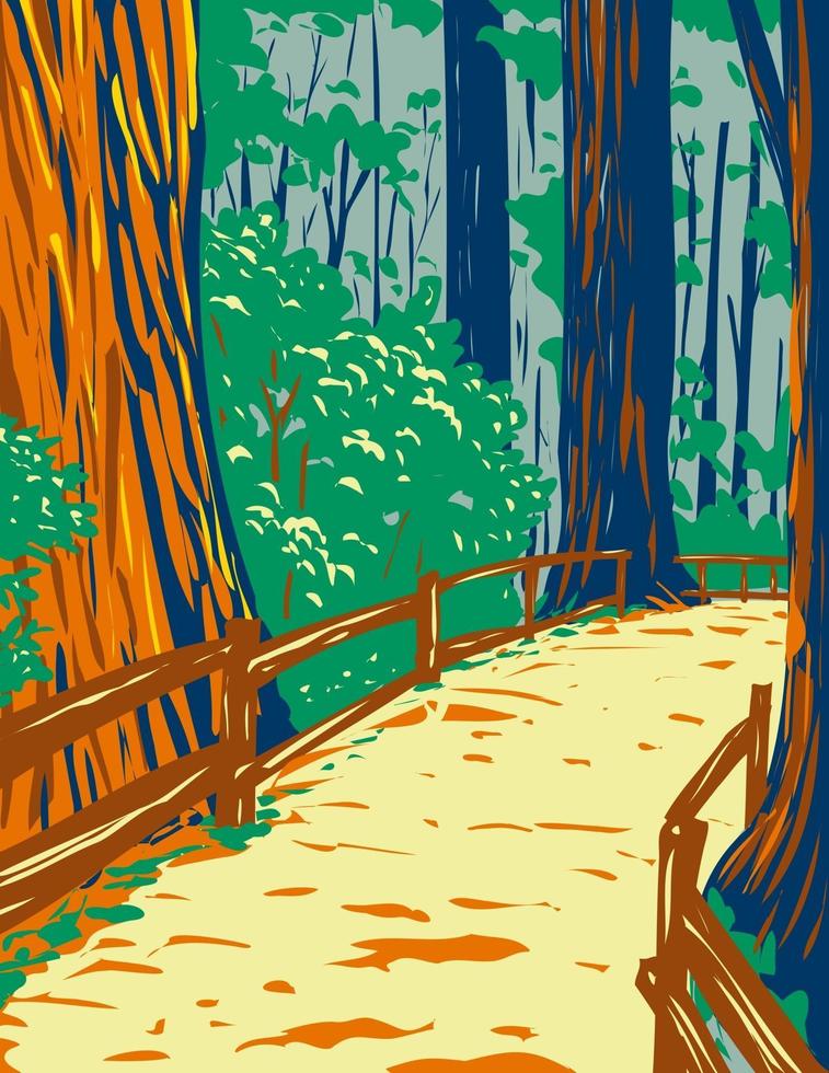 alberi di sequoia a muir woods monumento nazionale a golden gate area ricreativa nazionale san francisco california stati uniti d'america wpa locandina vettore