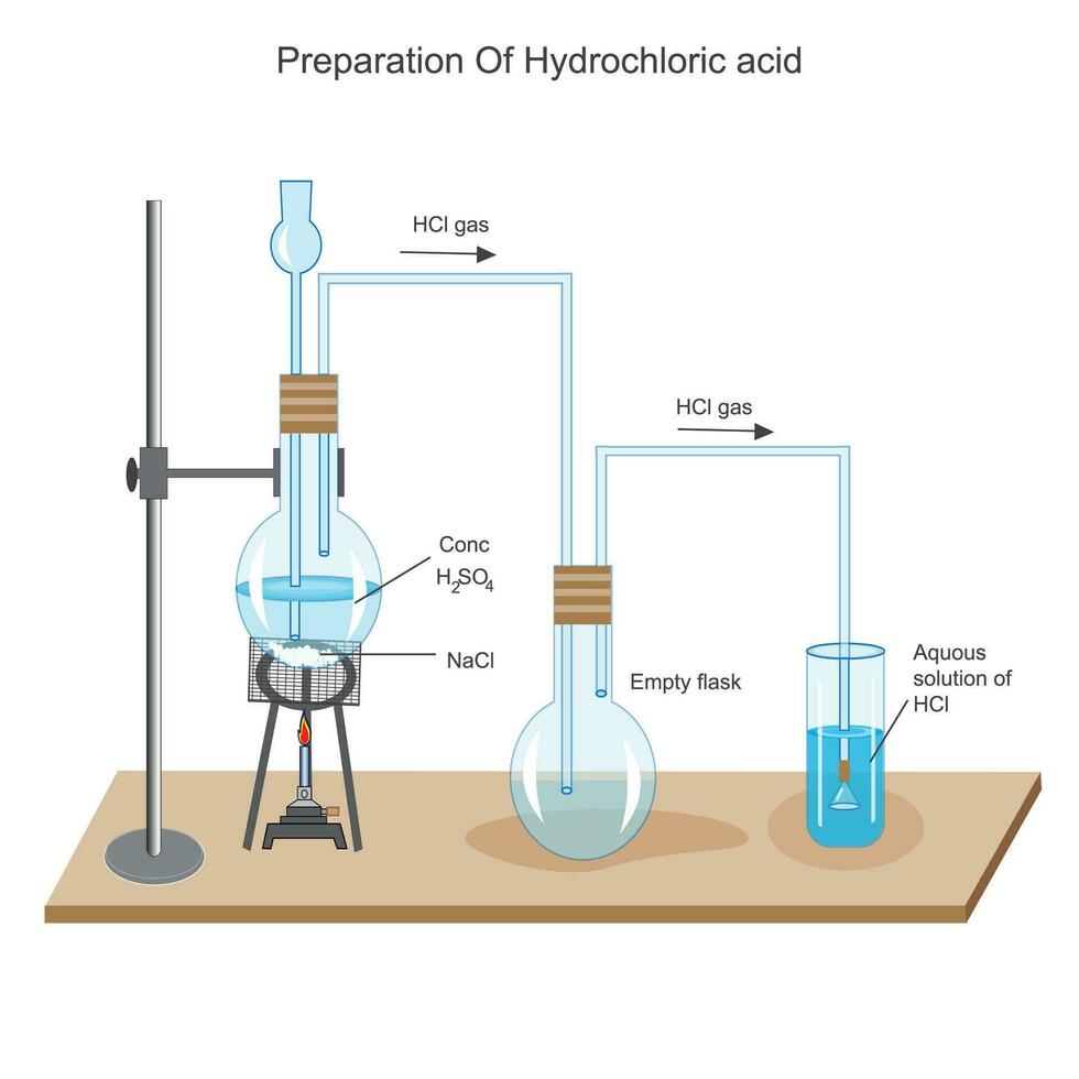 preparazione di cloridrico acido nel laboratorio . cloridrico acido è anche conosciuto come meureatico acido. acido preparazione. chimico illustrazione. scienza e formazione scolastica scopo. vettore