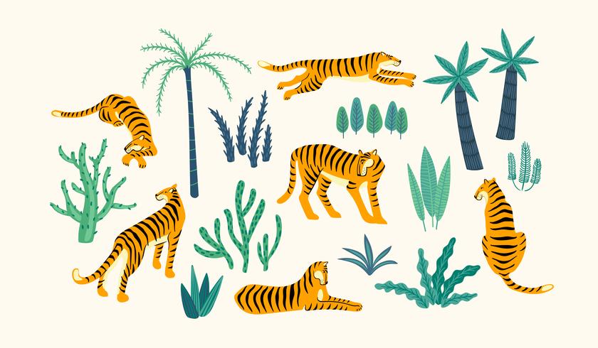 Set di tigri e foglie tropicali. vettore