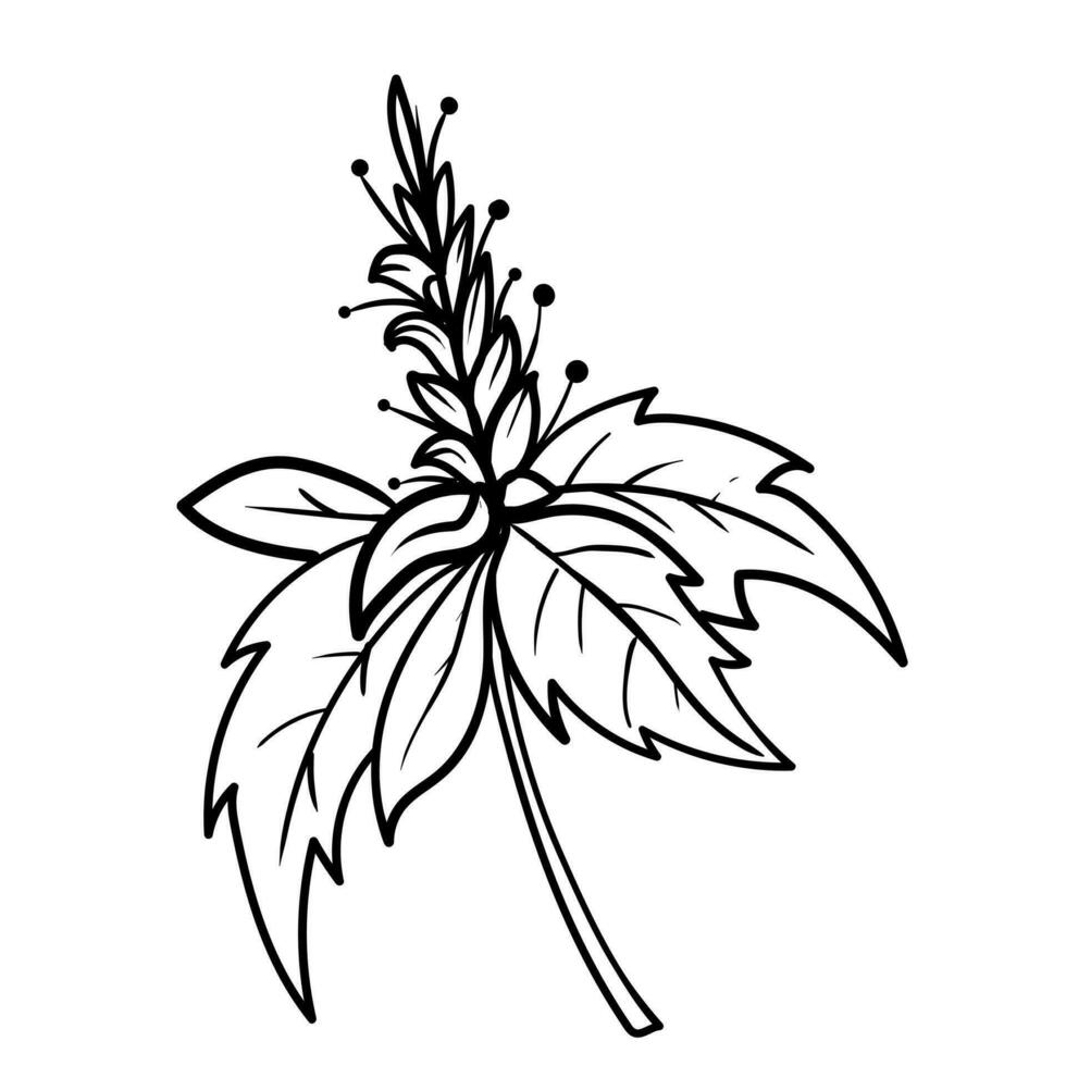 schema mano disegnato decorativo floreale ramo e minimalista le foglie per logo o tatuaggio. mano disegnato linea nozze erba, elegante fiori selvatici. minimo linea arte disegno per Stampa, copertina o sfondo vettore