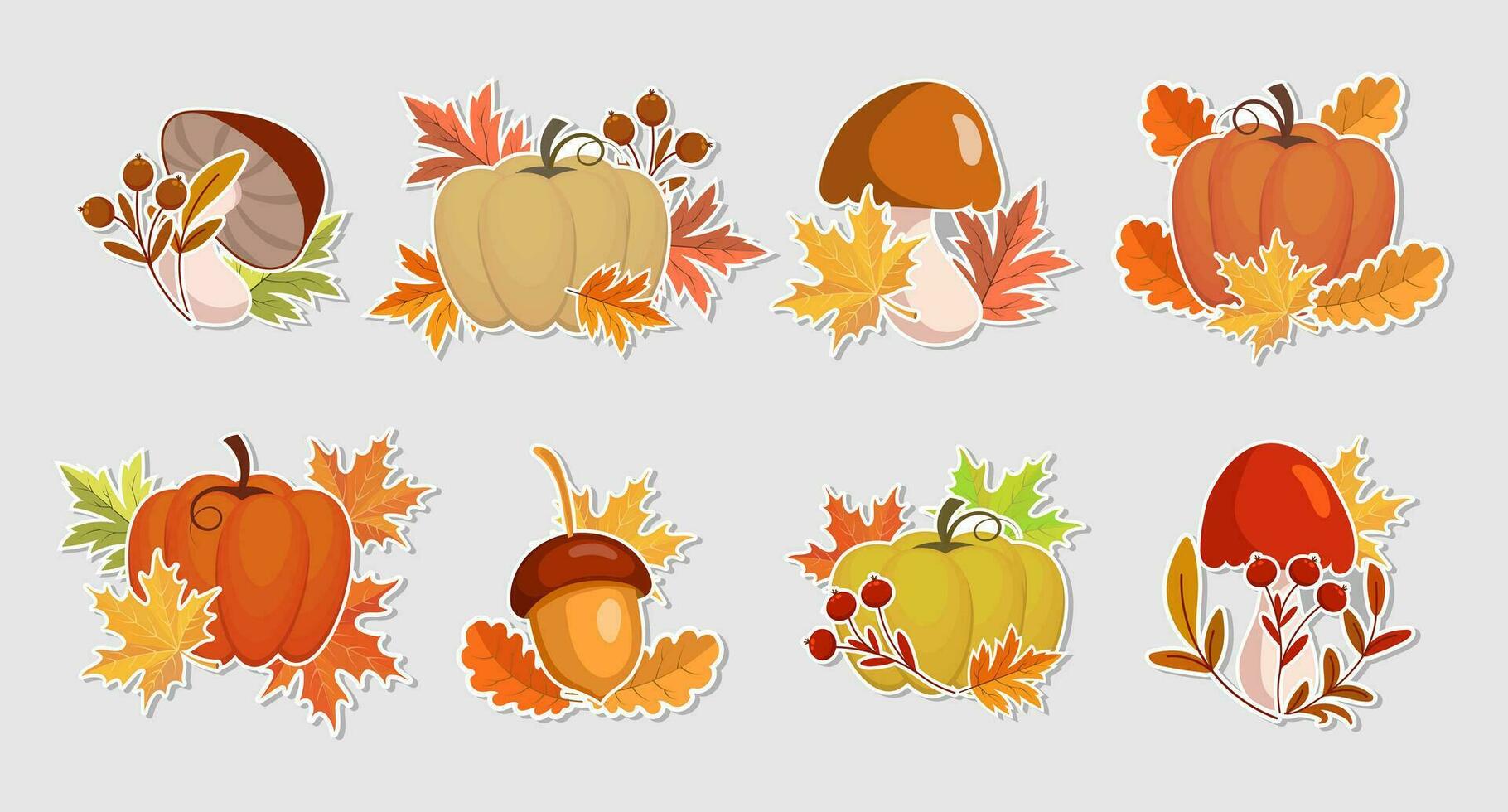 impostato di autunno adesivi, zucche, ghiande, funghi e autunno le foglie e sorbo. illustrazione, icone, modello, vettore