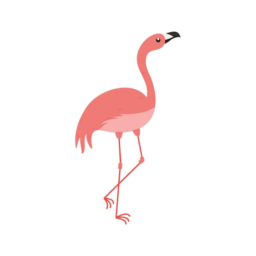 rosa fenicottero cartone animato illustrazione isolato nel bianca sfondo. estate animale illustrazione vettore