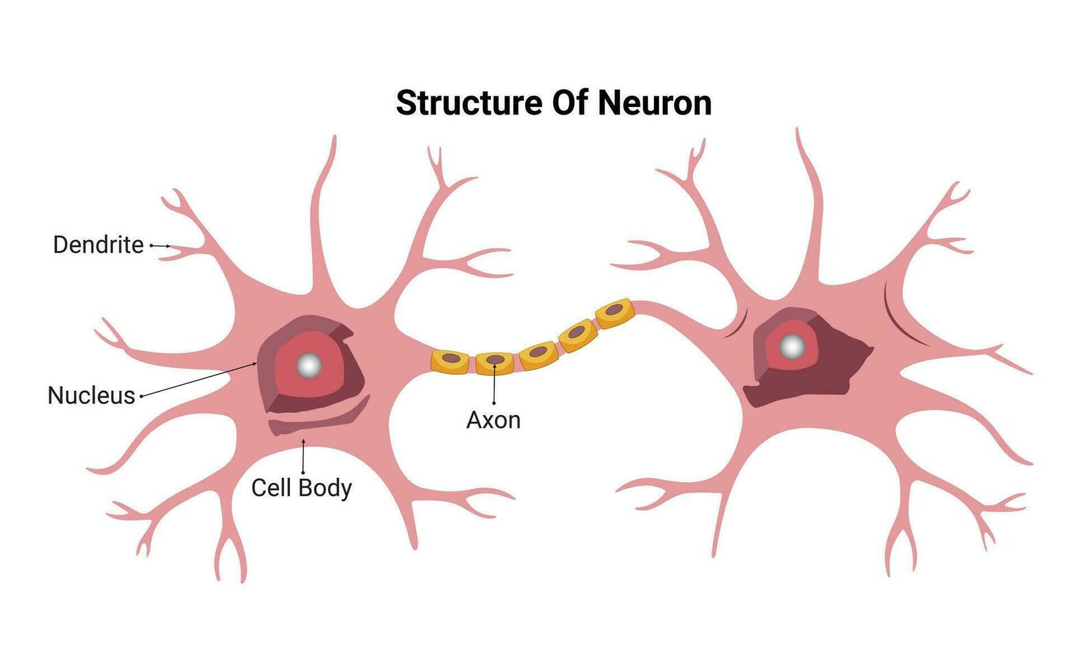 neurone stractur vettore design illustrazione