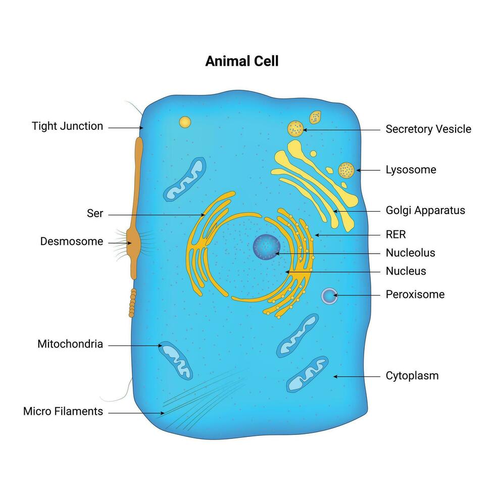 animale cellula vettore design illustrazione