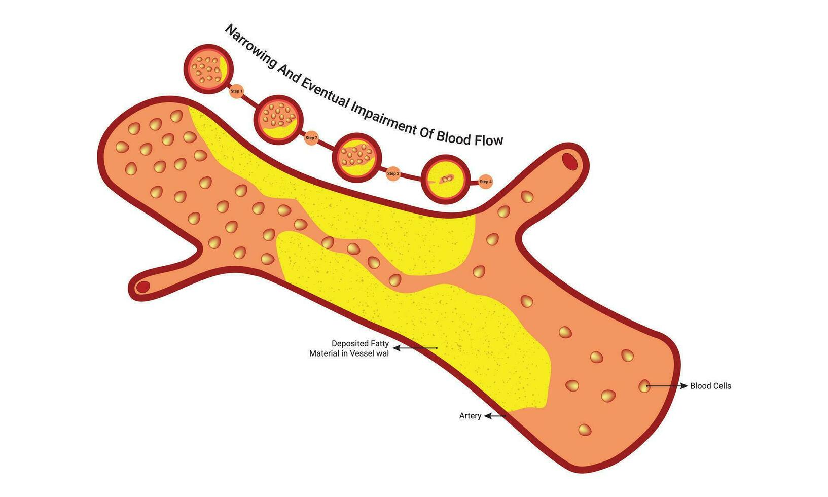 sangue flusso vettore illustrazione design