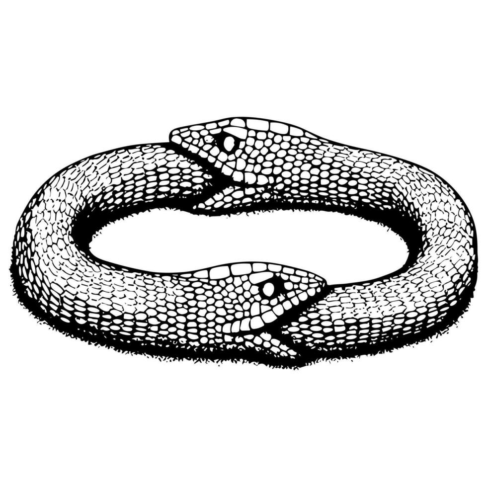 serpente cerchio illustrazione vettore