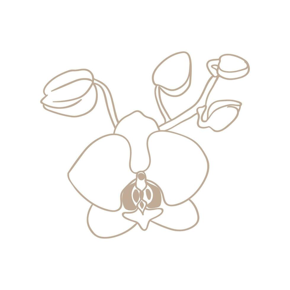 semplice icona di orchidea fiore ramoscello con mini cuffie. fioritura orchidea, linea disegno. vettore