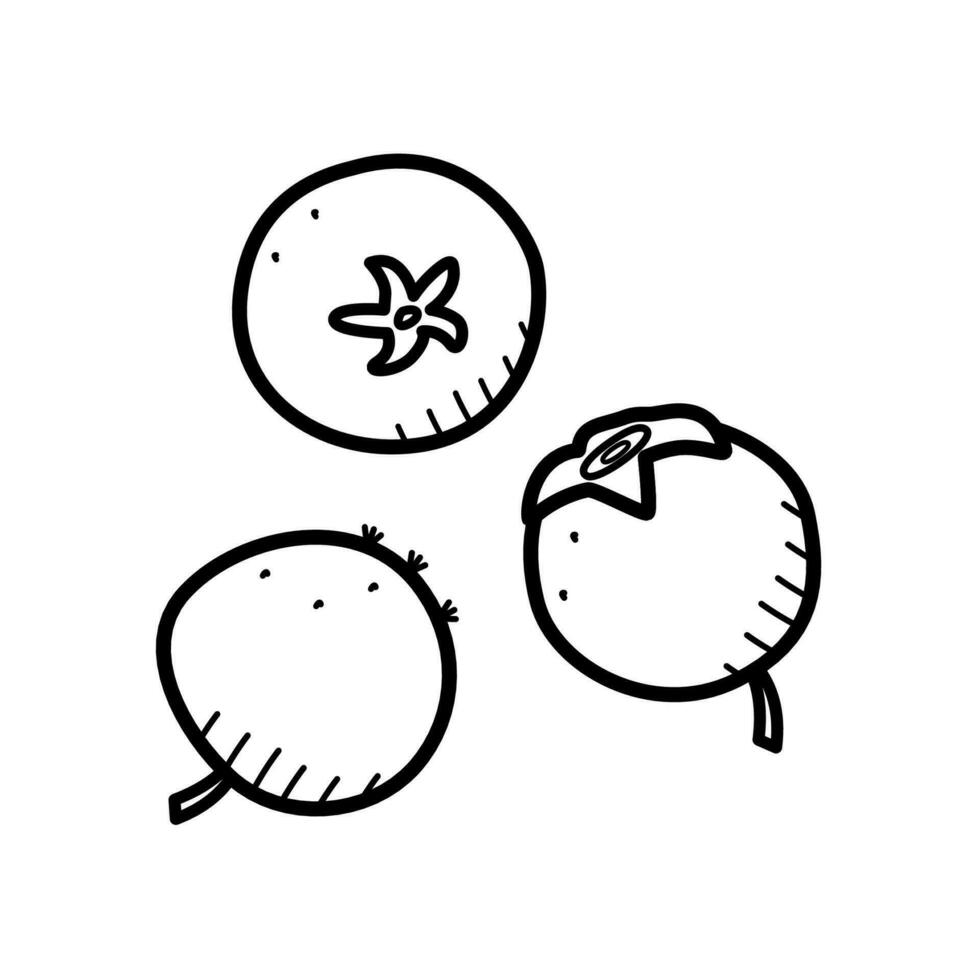 estate dolce bacca mirtilli scarabocchio icone. vettore illustrazione singolo schizzo isolato su bianca.