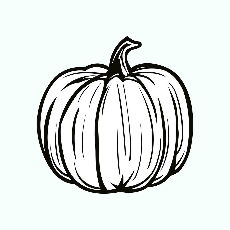 zucca linea icona. raccogliere simbolo, logo. Halloween concetto. isolato vettore illustrazione.