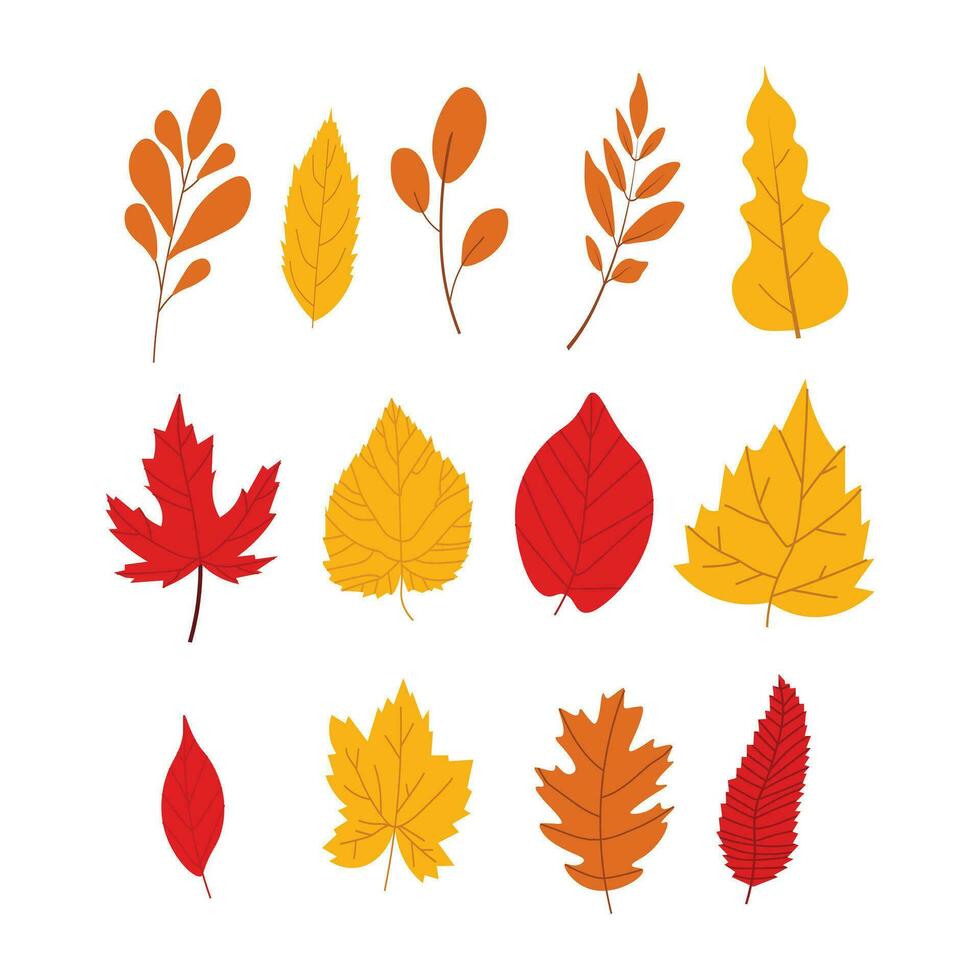 autunno foglia impostato illustrazione vettore