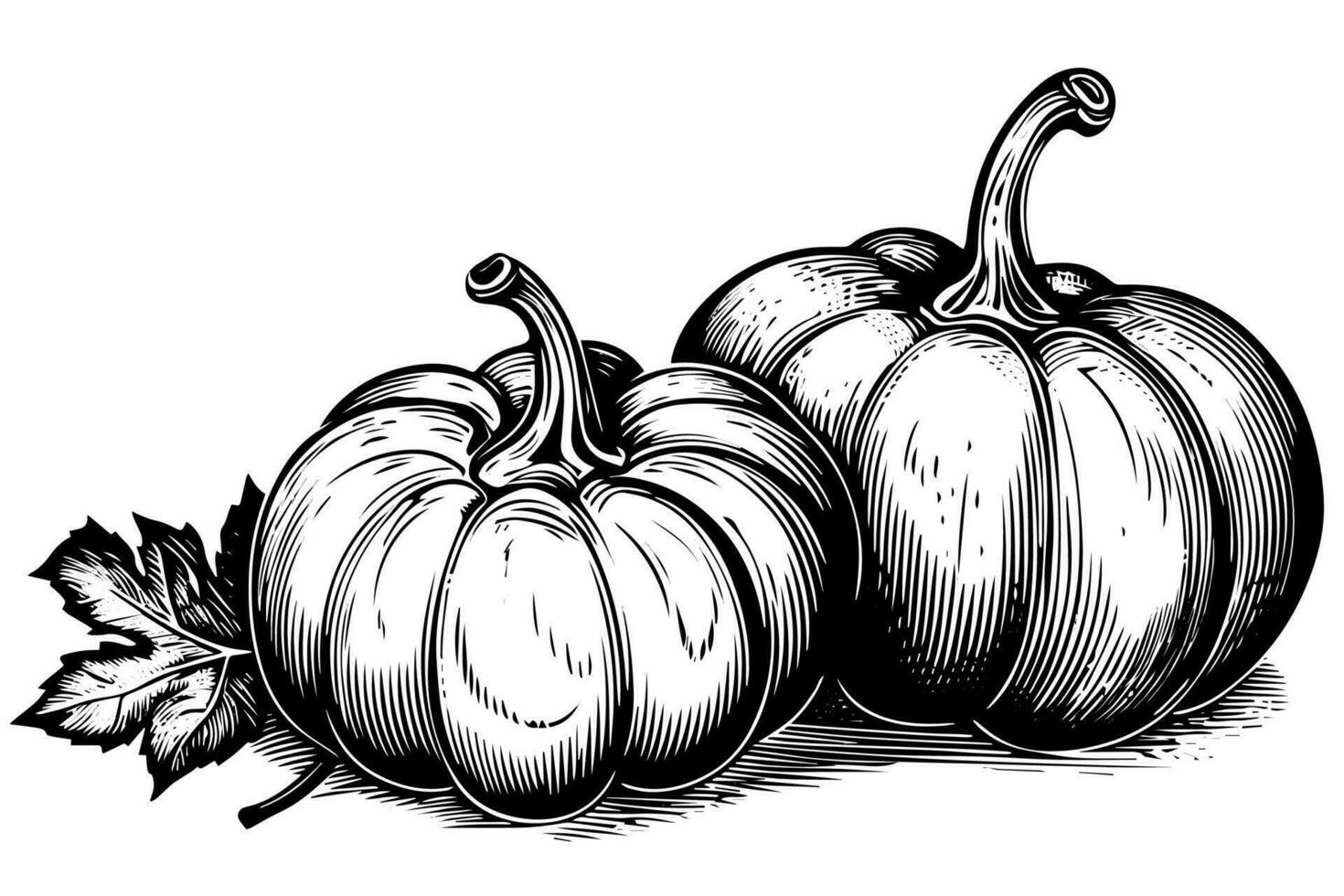 inchiostro schizzo di zucca isolato su bianca sfondo. mano disegnato vettore illustrazione.