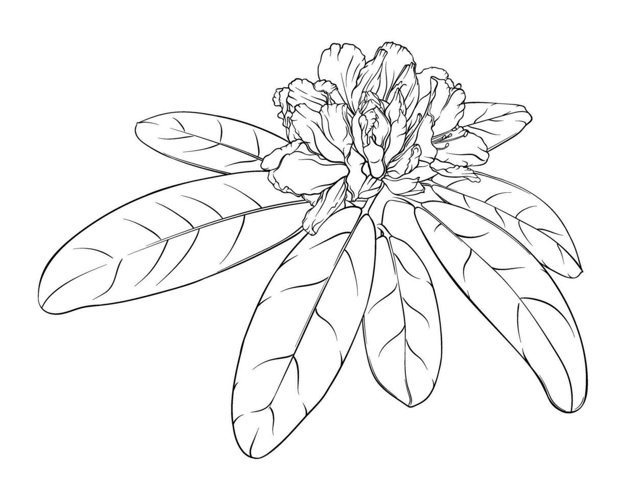 ramo di rododendro con non soffiato mini cuffie e le foglie. monocromatico mano disegnato illustrazione, macchiato bicchiere finestra, colorazione libro vettore