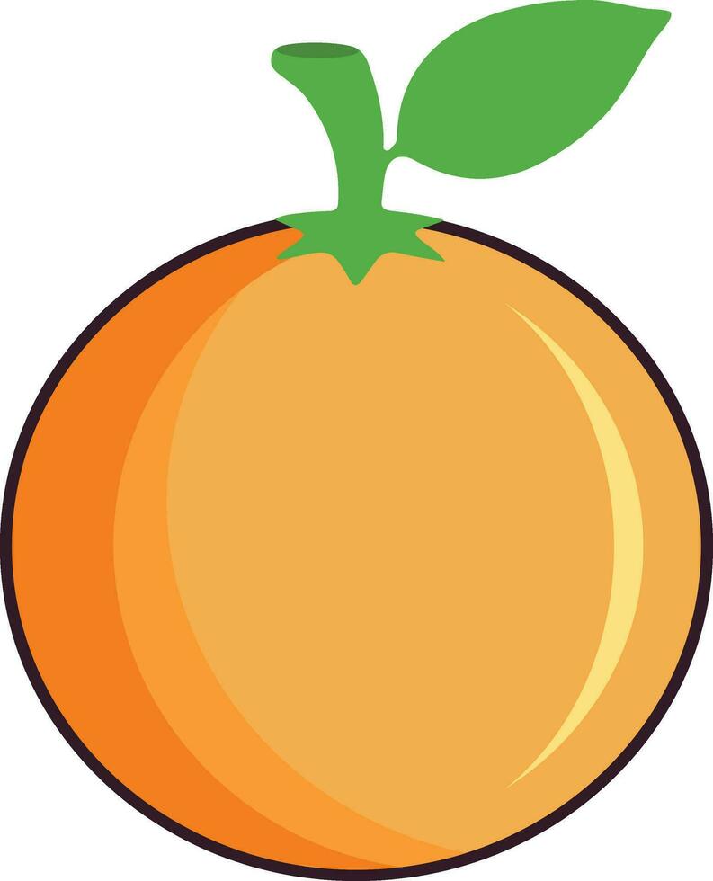 arancia frutta vettore arte design