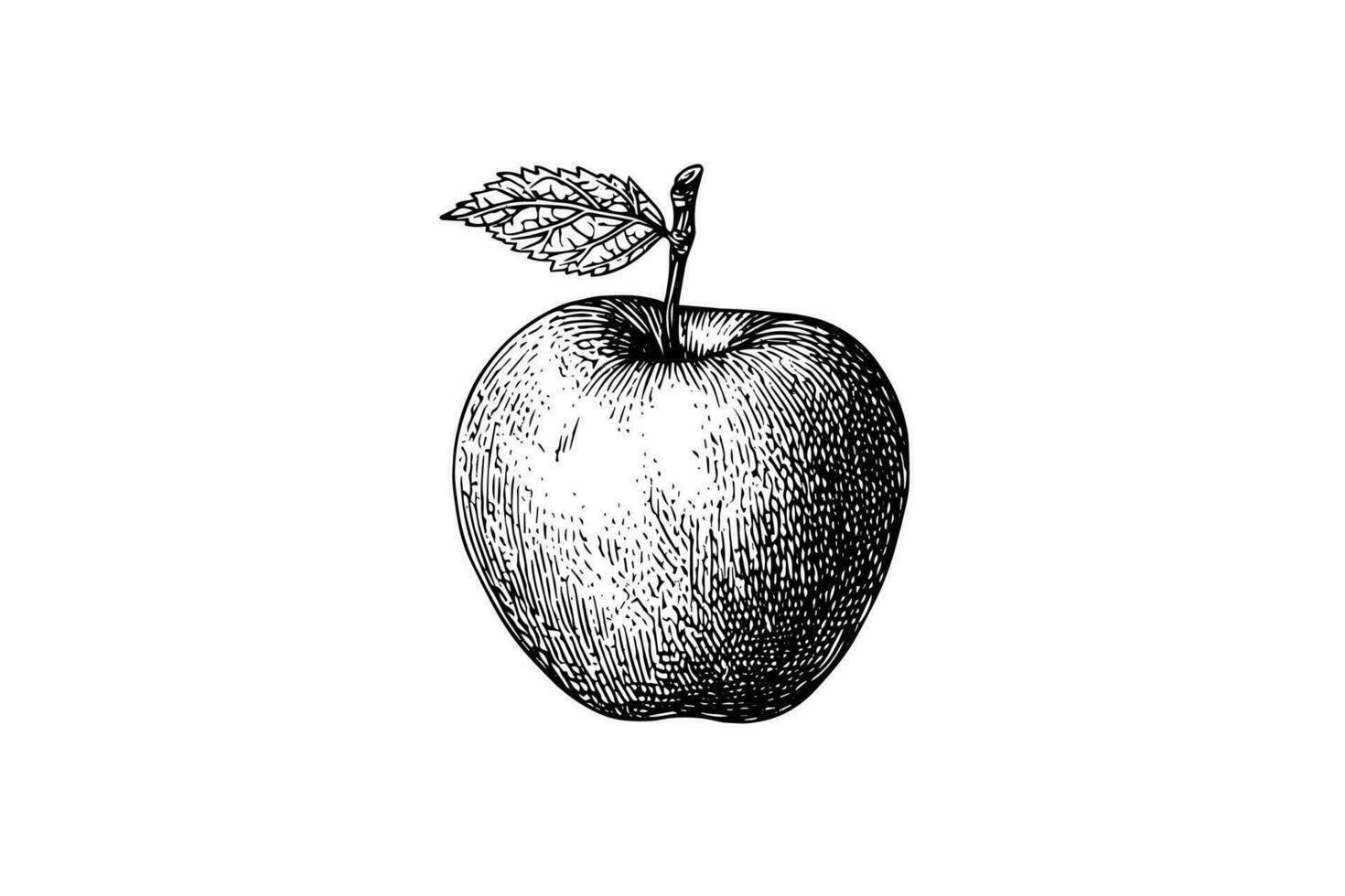 Mela frutta mano disegnato incisione stile vettore illustrazioni.