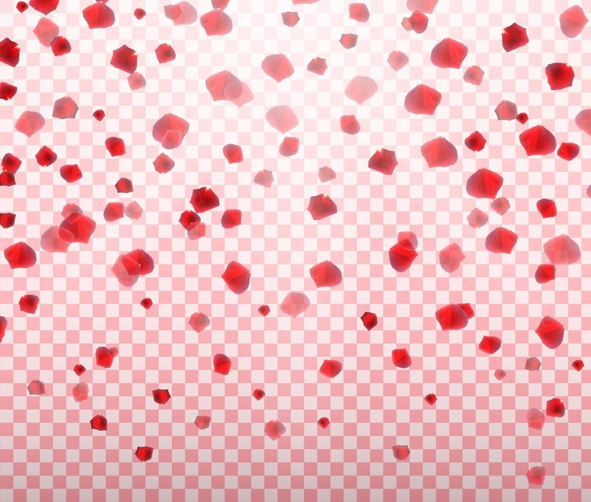 petali di rosa cadenti colorati naturalistici su sfondo trasparente. illustrazione vettoriale. vettore