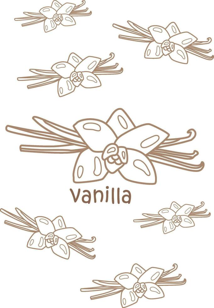 alfabeto v per vaniglia vocabolario scuola lezione cartone animato colorazione pagine per bambini e adulto attività vettore