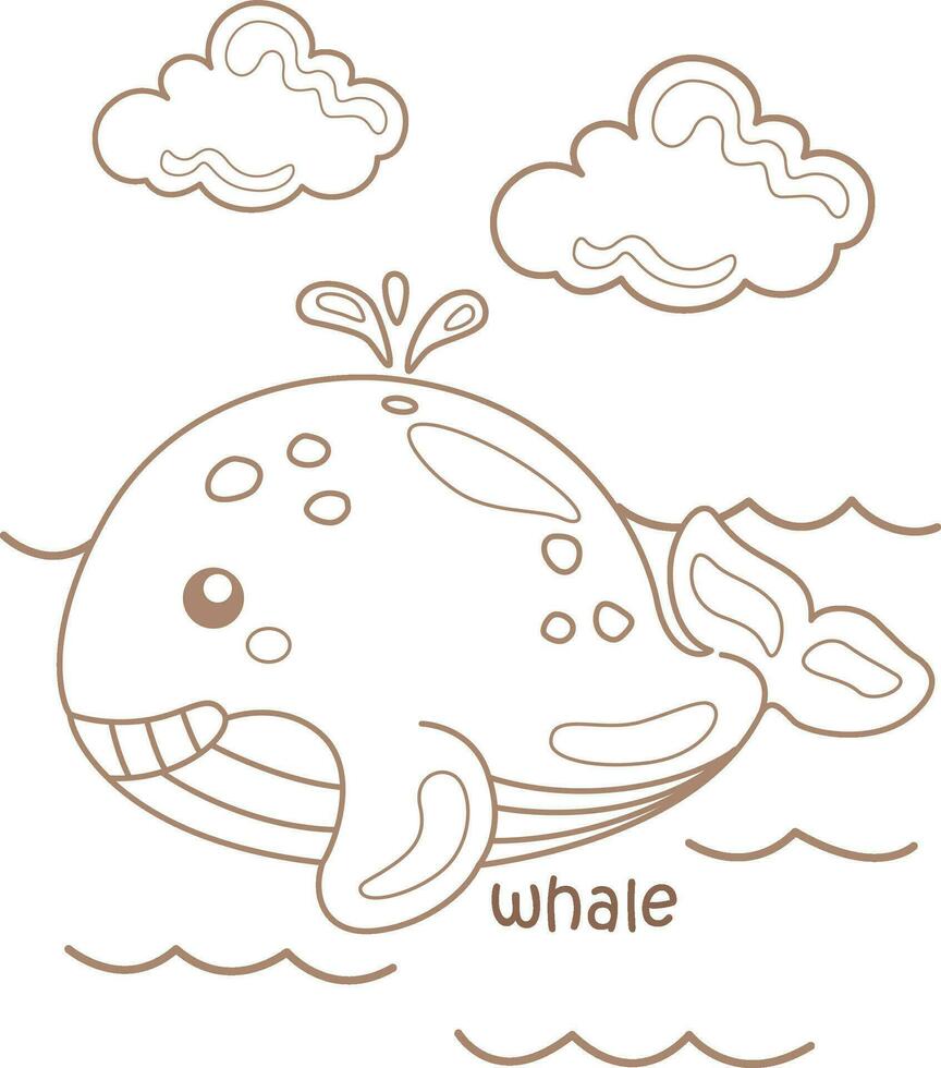alfabeto w per balena vocabolario scuola lezione cartone animato colorazione pagine per bambini e adulto vettore