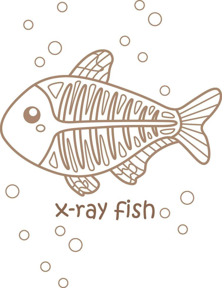 alfabeto X per raggi X pesce vocabolario scuola lezione cartone animato colorazione pagine per bambini e adulto vettore