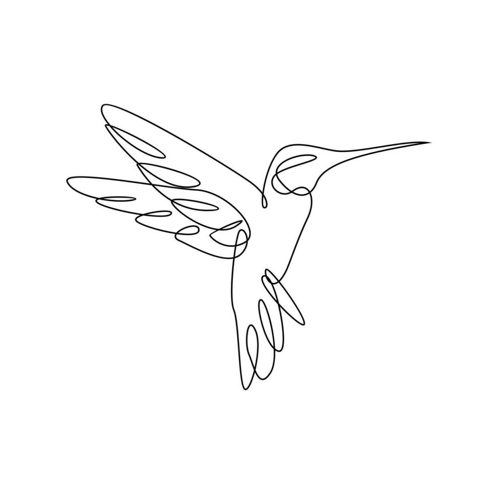 colibrì linea illustrazione vettore