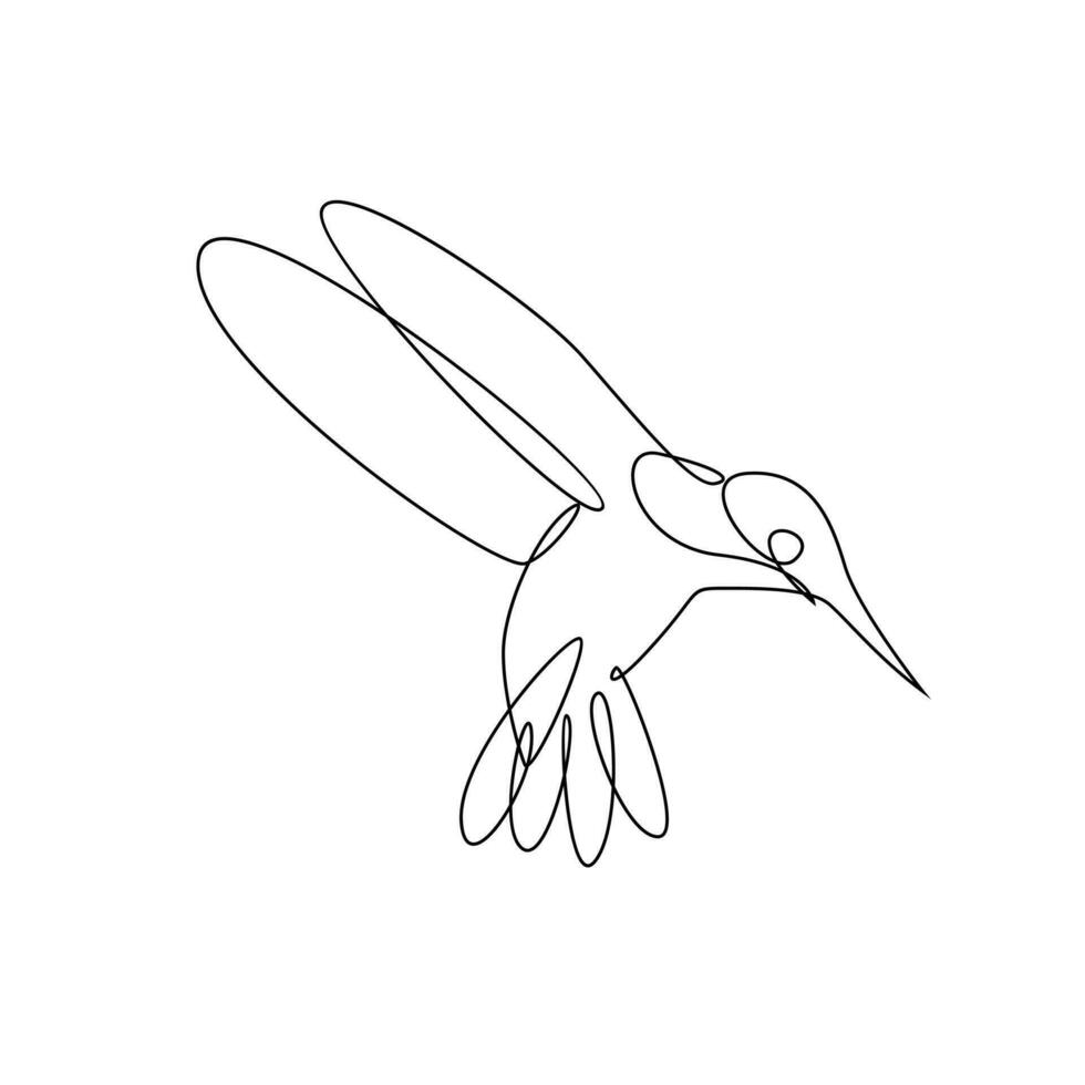 colibrì linea illustrazione vettore