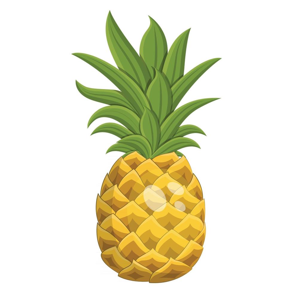 illustrazione vettoriale di ananas