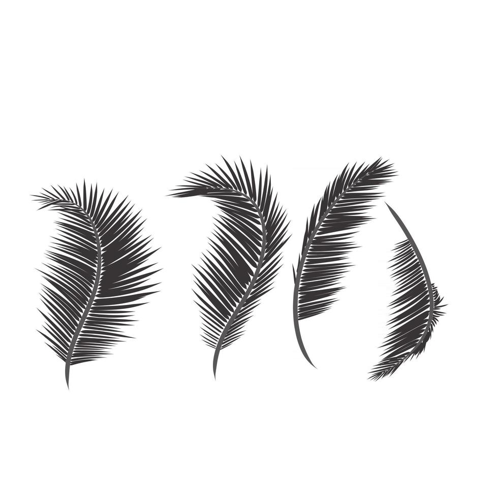 foglie di palma vettore