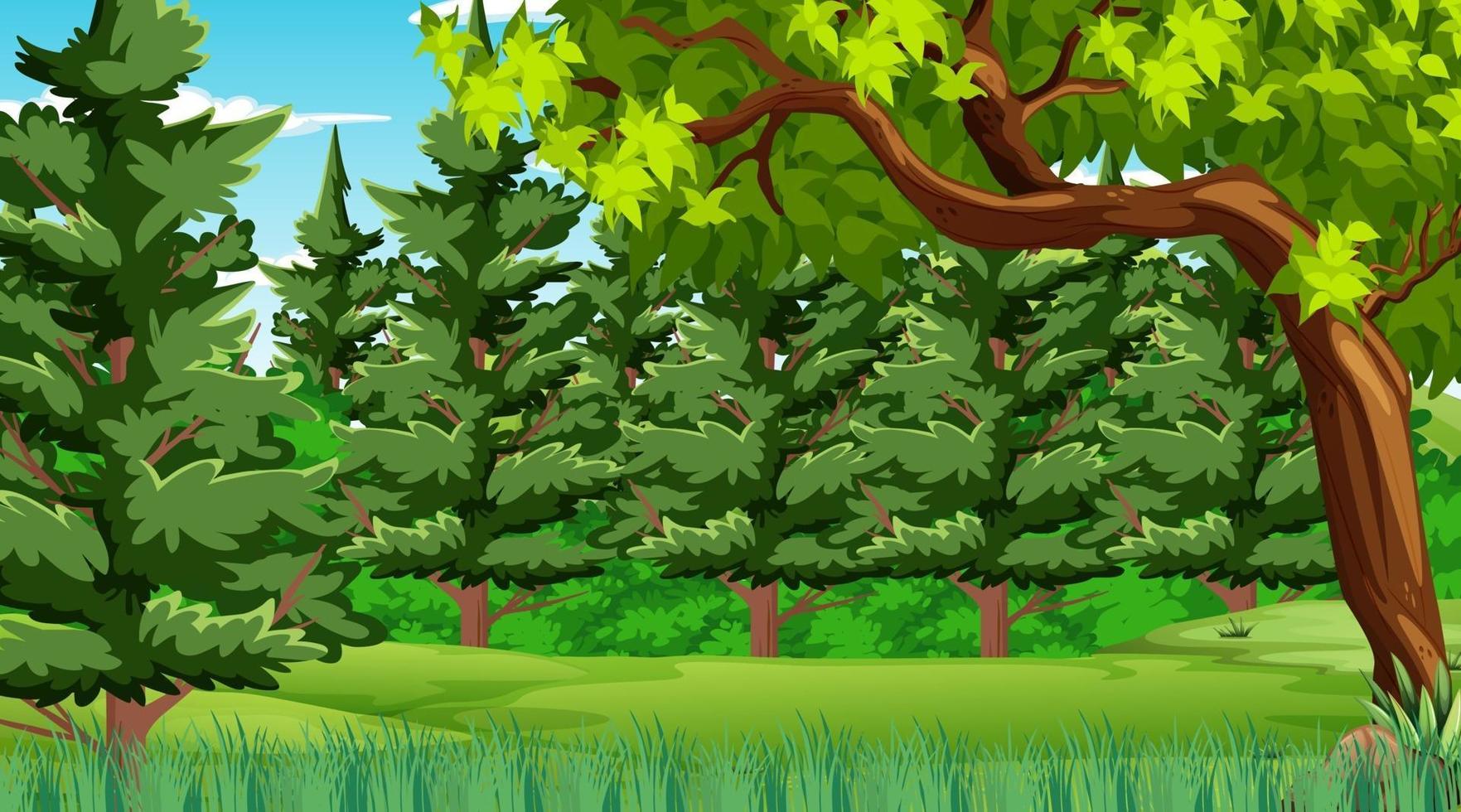 scena della foresta con vari alberi della foresta e molti pini vettore