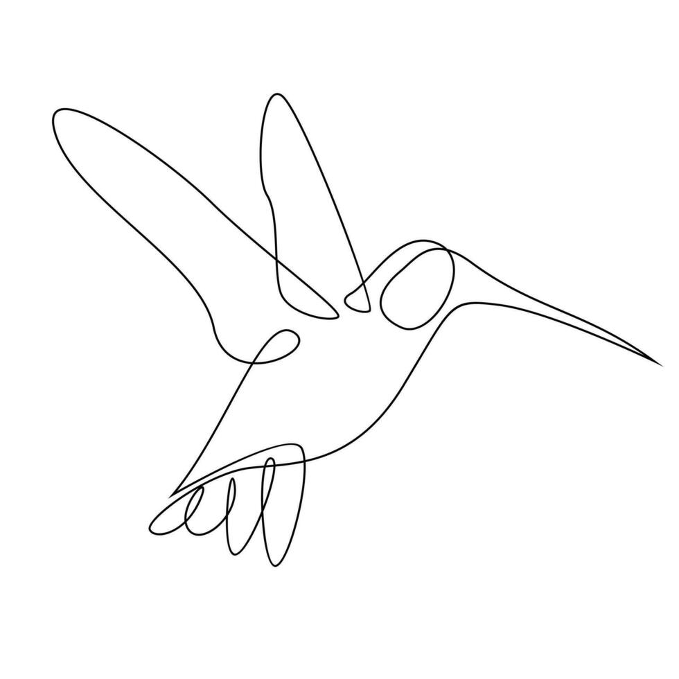 colibrì linea illustrazione vettore