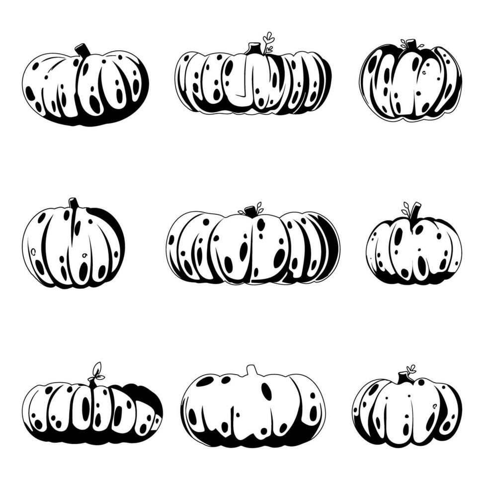Questo è un' collezione di grande zucche per il autunno stagione. il zucche siamo o nero o bianca nel colore. bambini colorazione pagina. vettore