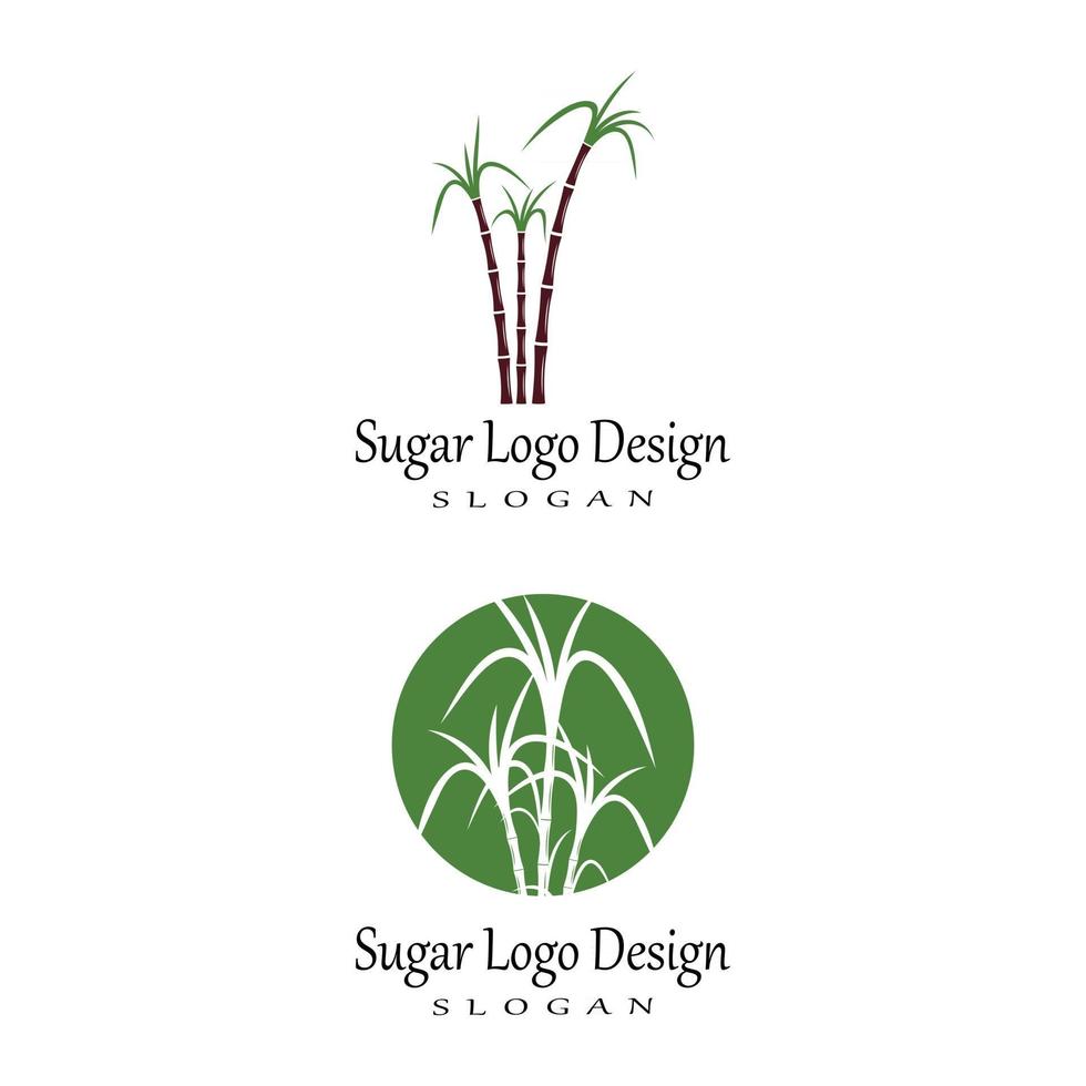 Natura di simbolo di vettore del modello di logo della canna da zucchero