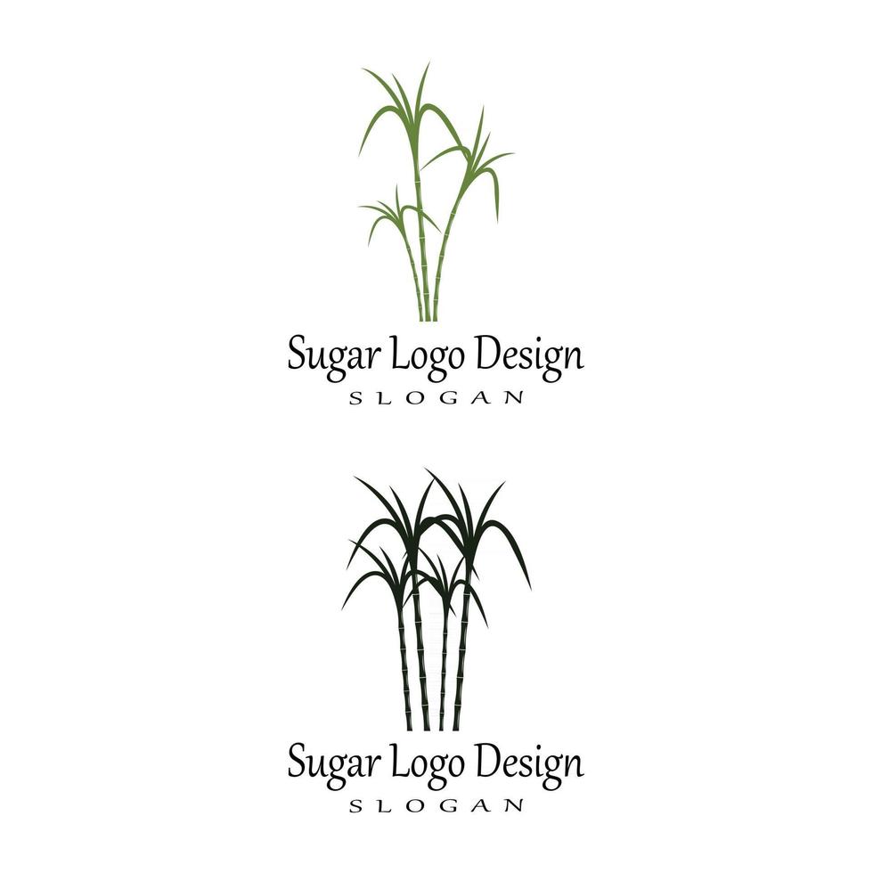 Natura di simbolo di vettore del modello di logo della canna da zucchero