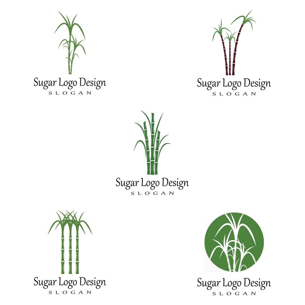 Natura di simbolo di vettore del modello di logo della canna da zucchero