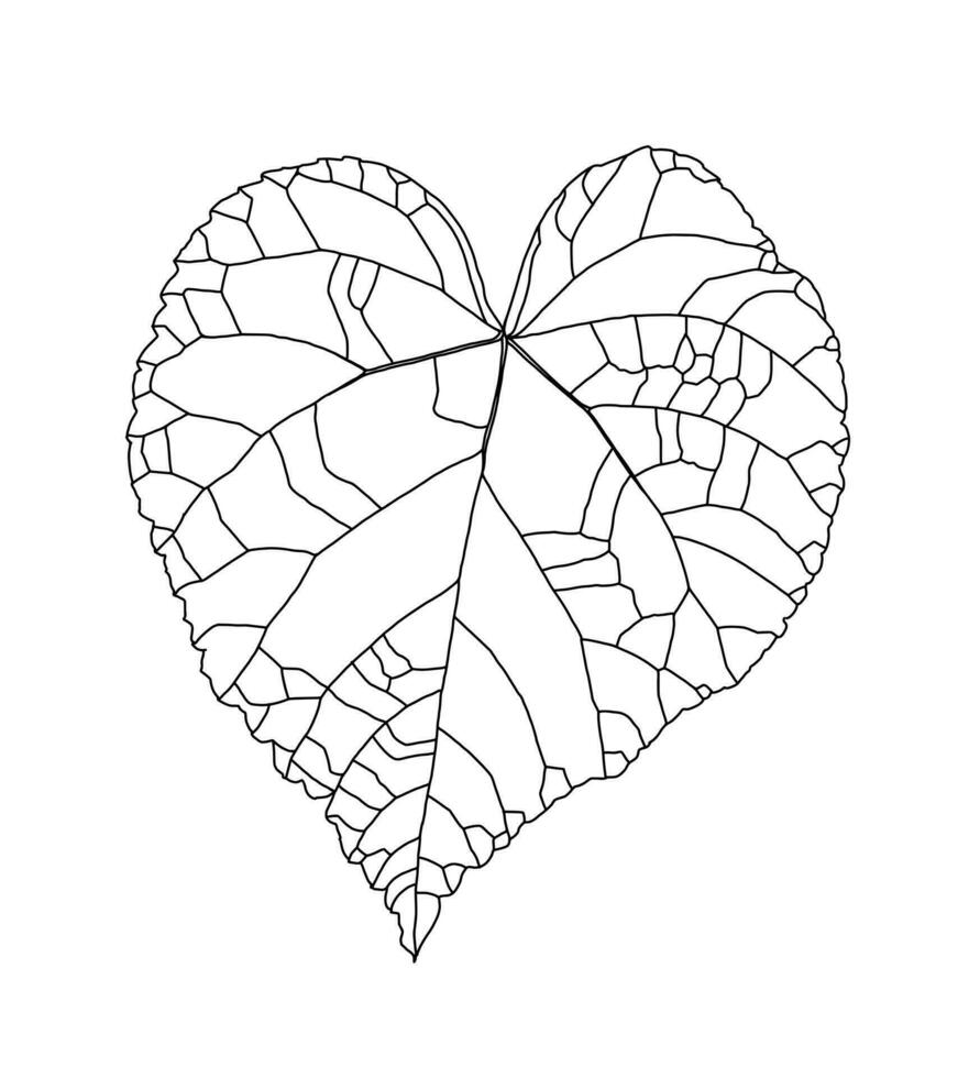 lineare grafico modello di un' a forma di cuore tiglio foglia vettore