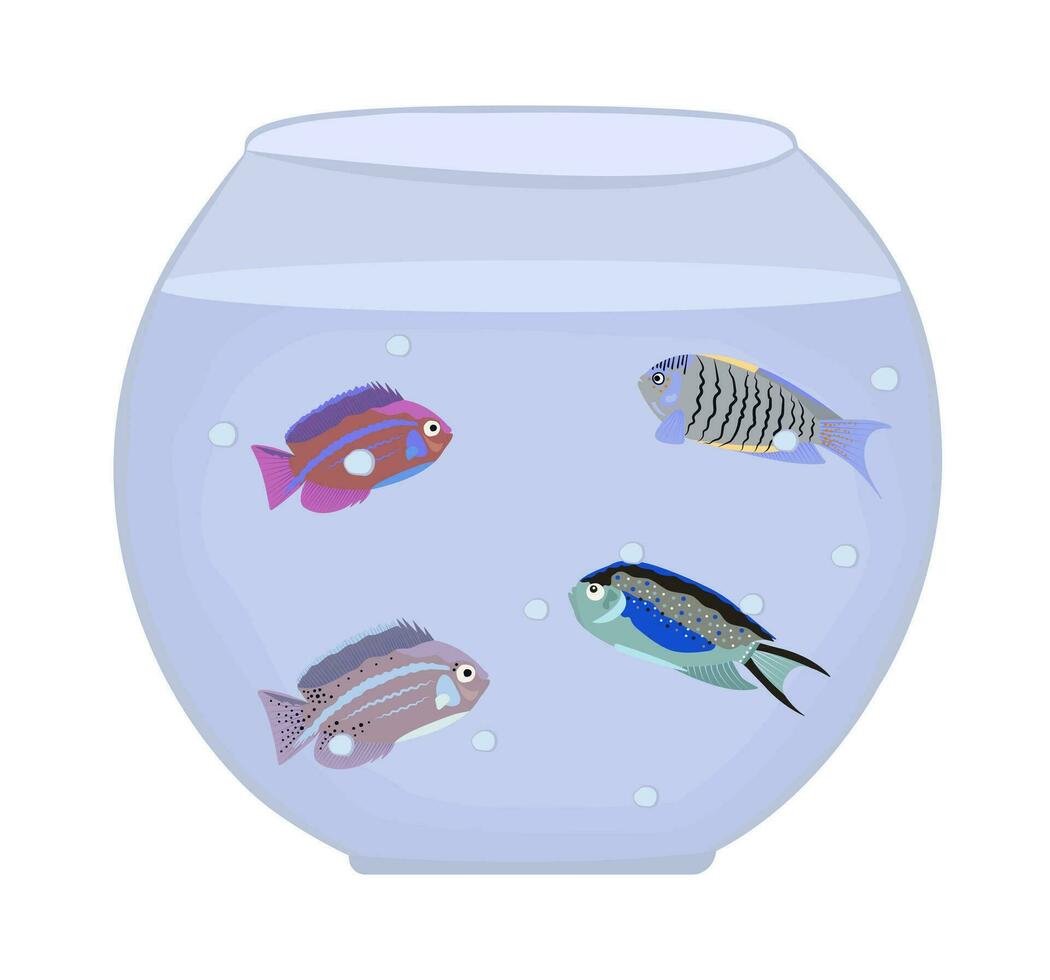 acquario con quattro diverso pesce, colore vettore illustrazione