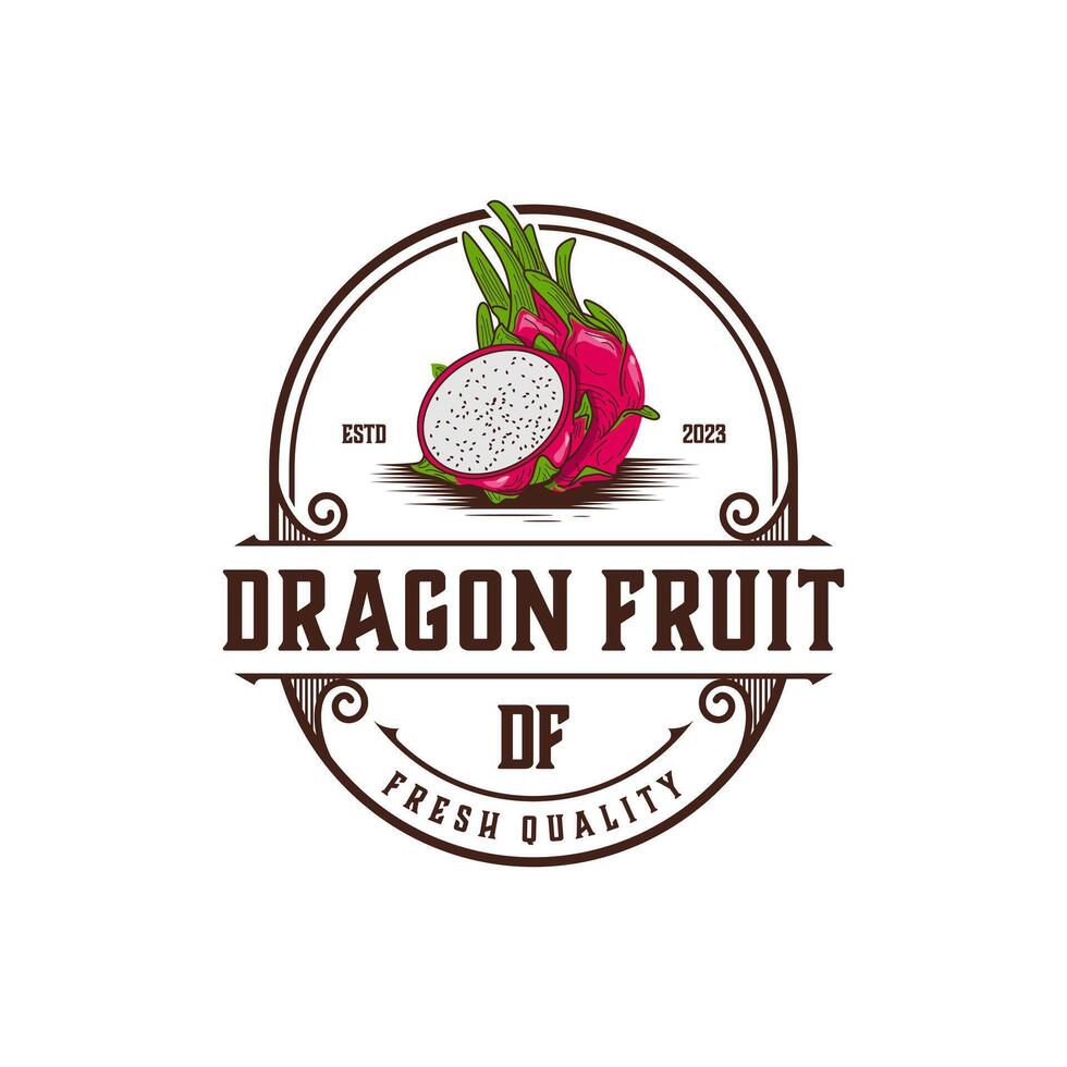 simpatico Drago frutta illustrazione logo vettore