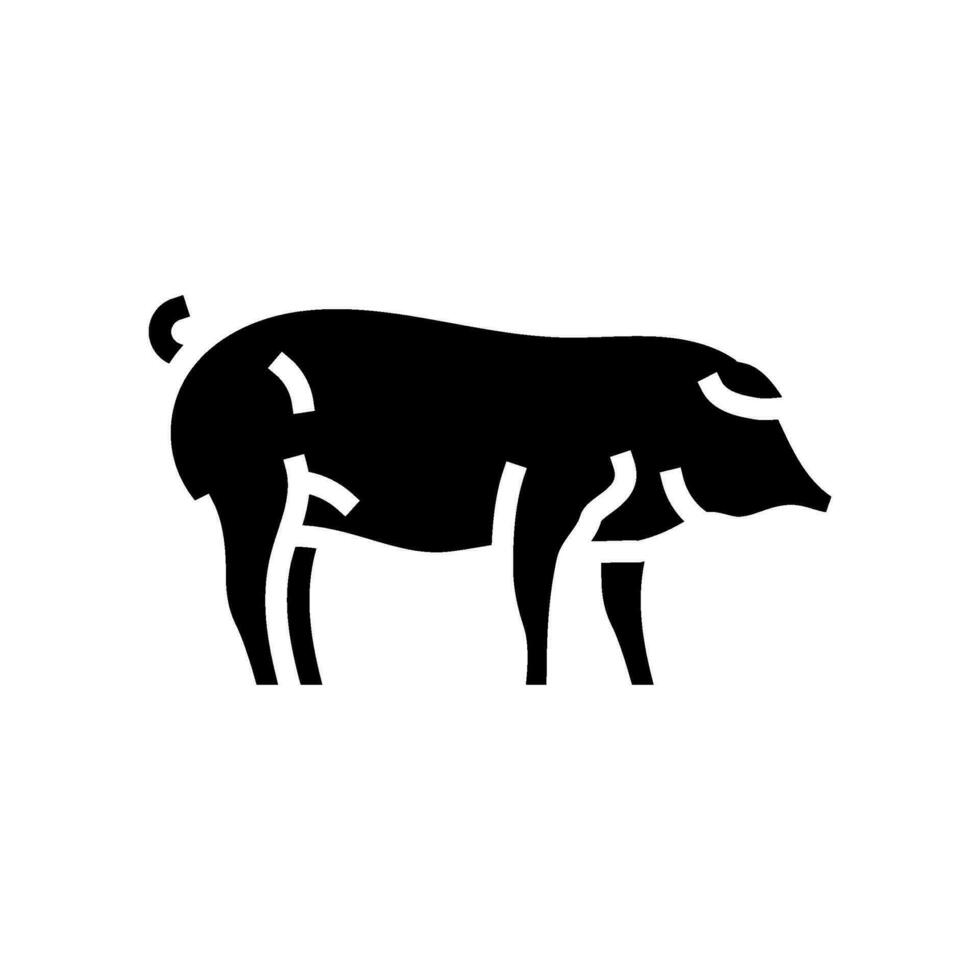 iberico maiale razza glifo icona vettore illustrazione