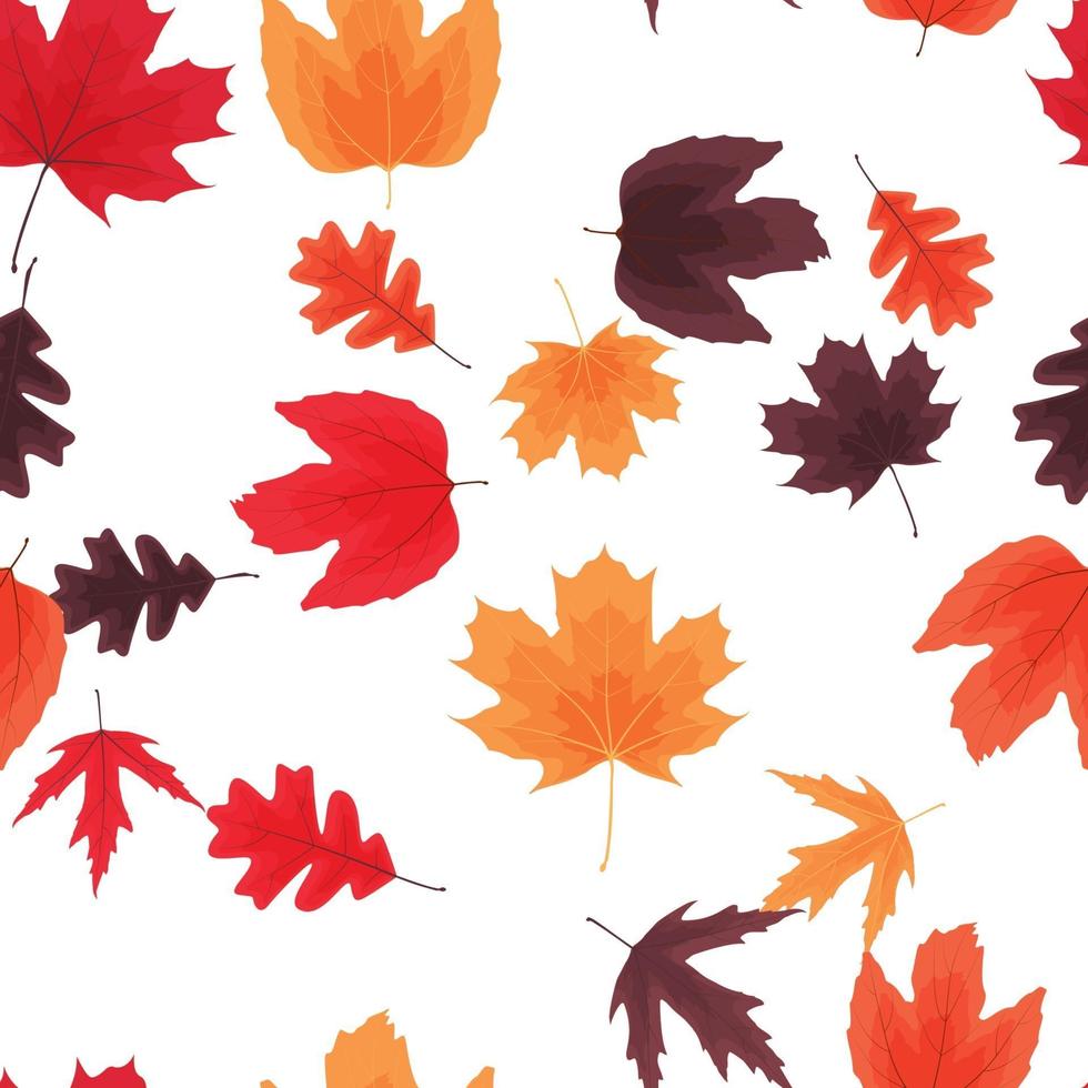 autunno foglie naturali fondo senza cuciture. illustrazione vettoriale