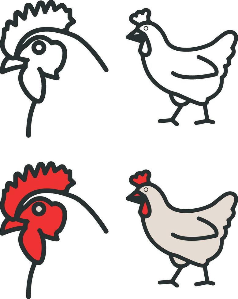 pollo icona vettore illustrazione