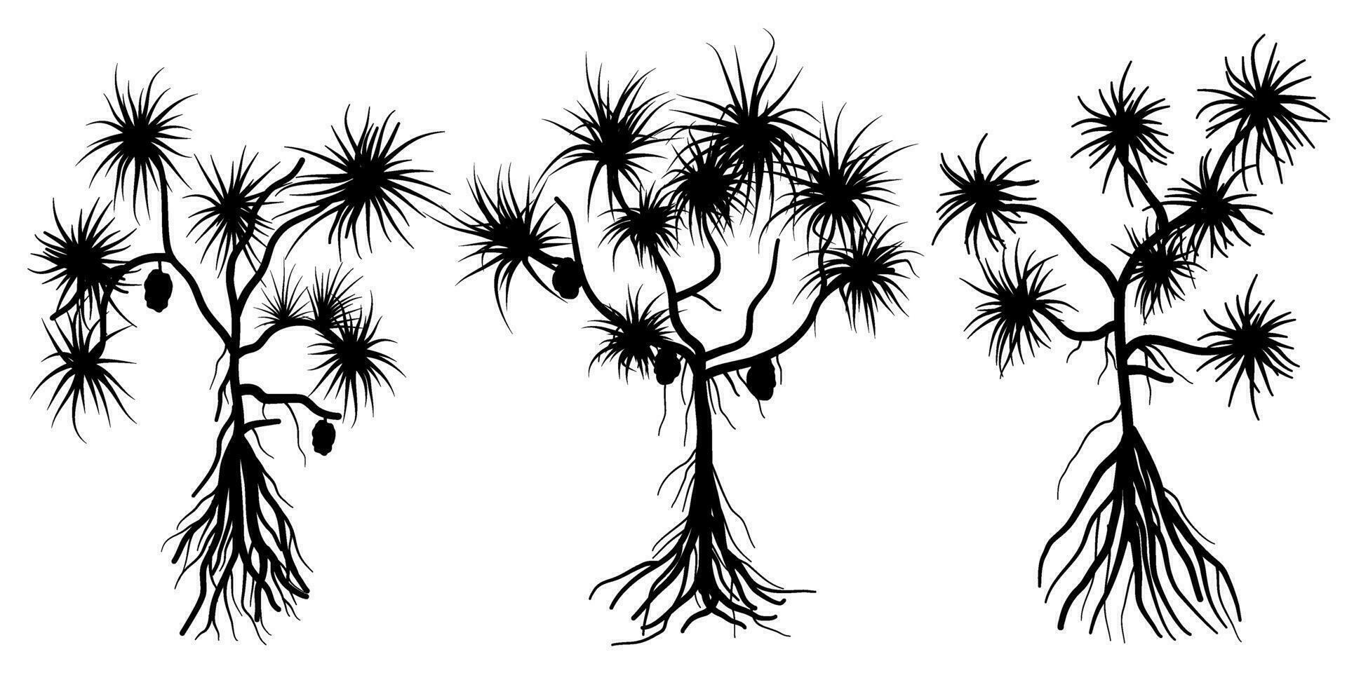 Pandanus tectorius comunemente chiamato vite pino, tropicale albero silhouette vettore