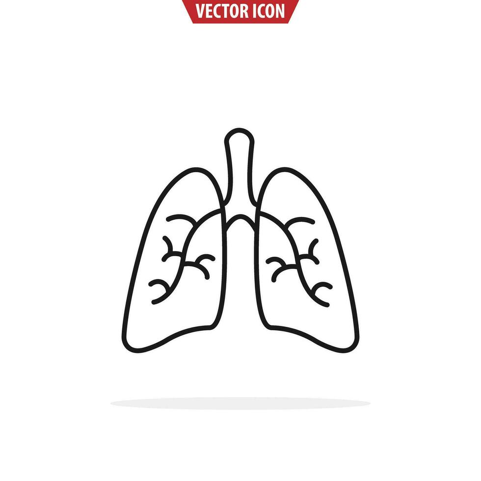 polmoni linea icona. isolato vettore illustrazione.
