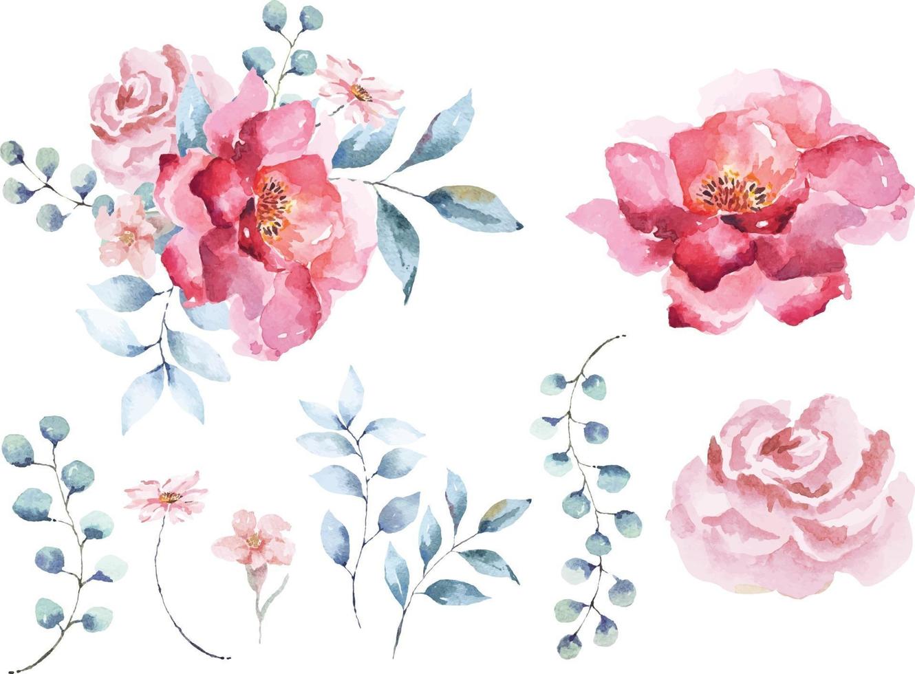 elegante composizione di rose acquerellate 7 vettore