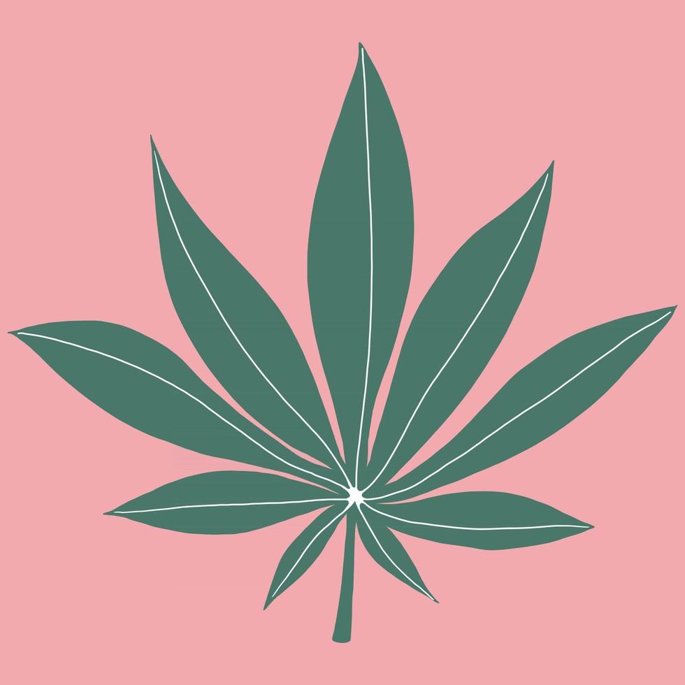 foglia di cannabis disegno a mano libera su sfondo rosa. vettore