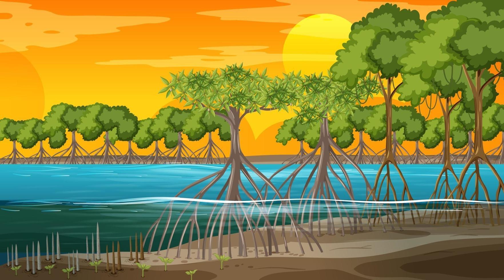 scena del paesaggio della foresta di mangrovie all'ora del tramonto vettore