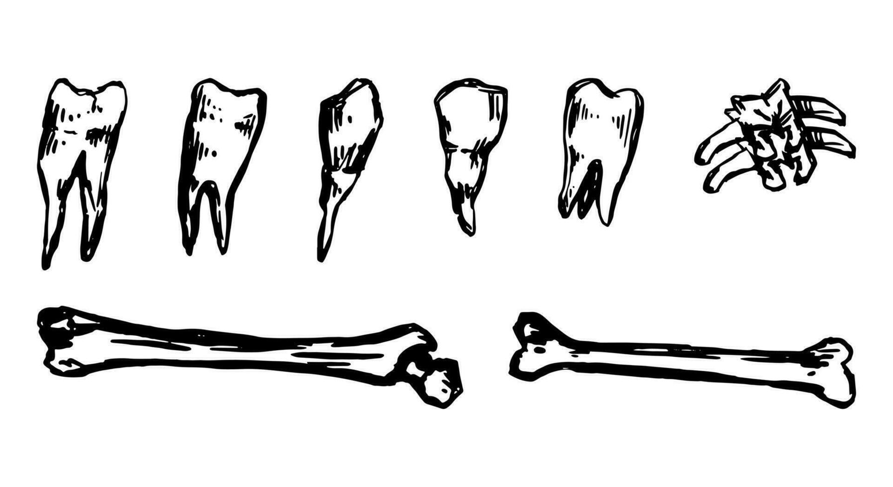 denti e ossatura impostare, spaventoso occulto elementi scarabocchi. Halloween mano disegnato vettore illustrazione nel retrò stile. buio tema inchiostro schizzi collezione isolato su bianca.