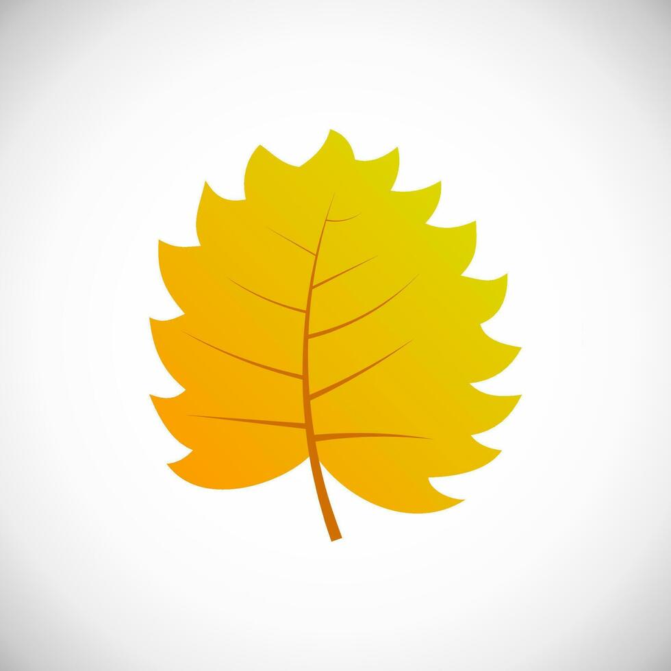 giallo foglia. autunno foglia di un' albero su un' bianca sfondo. vettore illustrazione