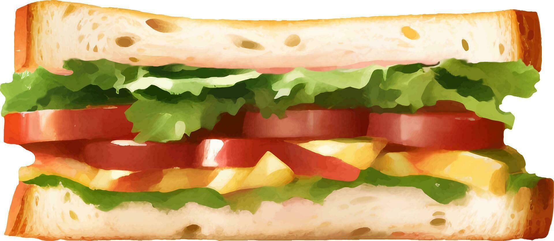 Sandwich dettagliato mano disegnato illustrazione vettore isolato